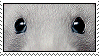 tumblr pbl4whs7Xl1wlxvjlo7 100.gif