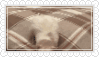 tumblr f07159c2cf6e242a1a621c850e7ea3b2 eca8d03f 100.webp