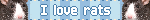 tumblr d3cdd3d8f6e76aca51e5562f29d22a64 b1f8ab55 250.webp