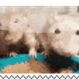 tumblr e21c6ccb0290dc2f7c3bfb2866ee8b62 d29c0030 100.webp
