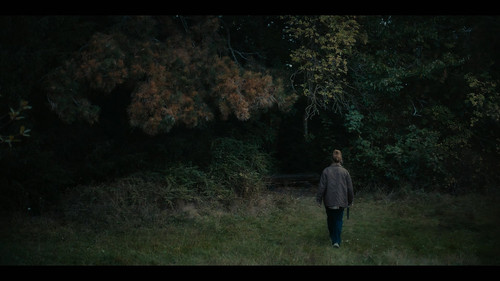 Kastanjemanden.S01E01.2160p.NF.WEB DL.CZ DA.DD+5.1.DoVi.HDR.H.265 playWEB.mkv 20260606 073032.458.jpg