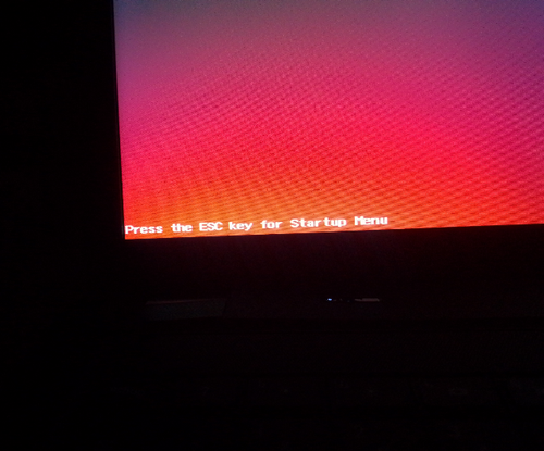 temp.png