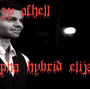 13.gif