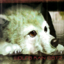 776956a2c29a.png