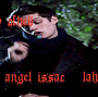 11.gif