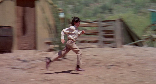 capture 1.jpg