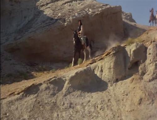capture 5.jpg