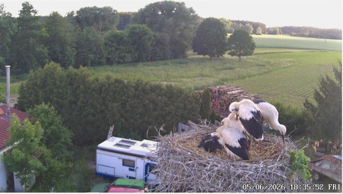 MWSnap618.jpg
