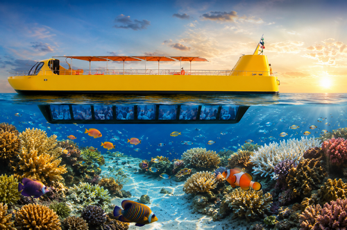 Clear panoramic viewing windows displaying undersea coral life