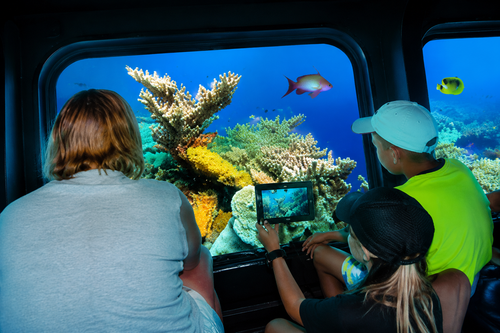 Colorful exotic reef fish near the deep glass panels
