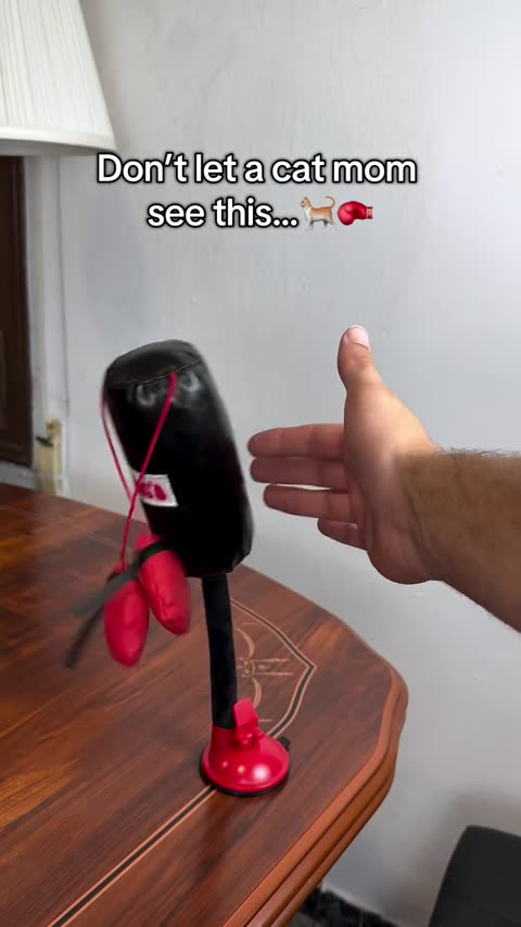 frame 0.jpg