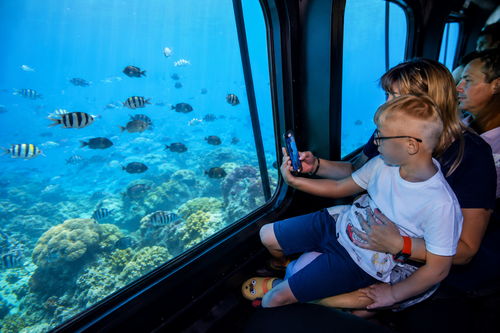 Families viewing marine life from the comfortable observation seats