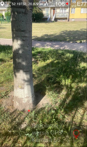 IMG 3135.jpg
