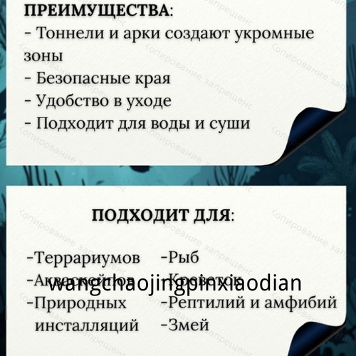 1780743460582.jpg