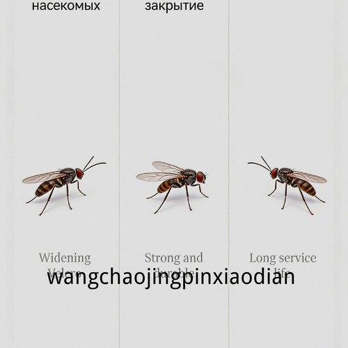 1780744742389.jpg