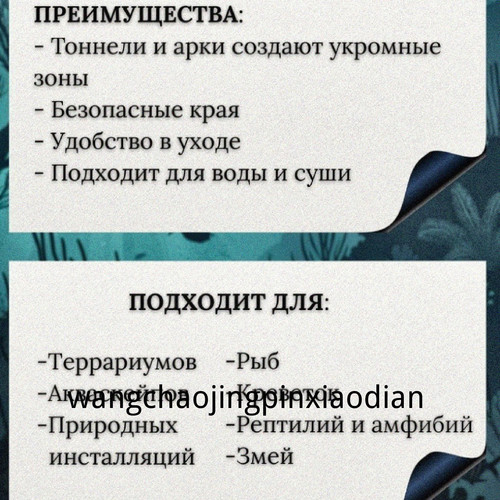 1780743592189.jpg