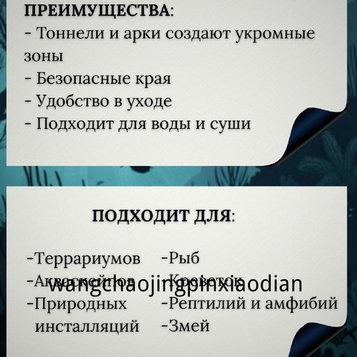 1780743303921.jpg