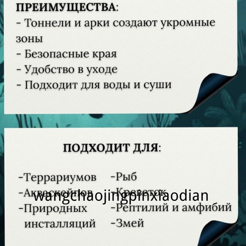 1780743330727.jpg