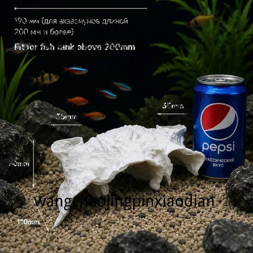 1780743416346.jpg