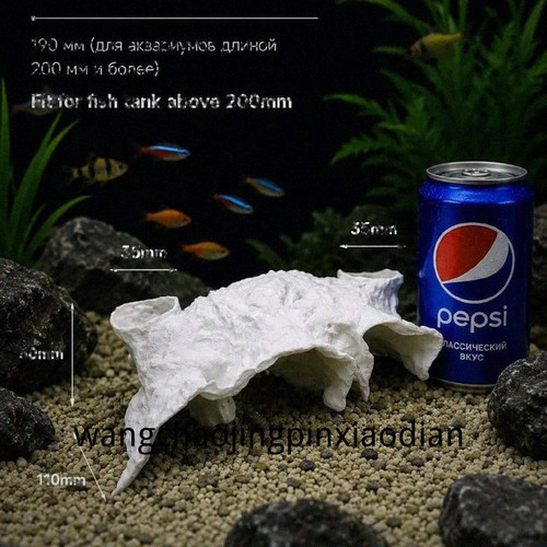 1780743697976.jpg