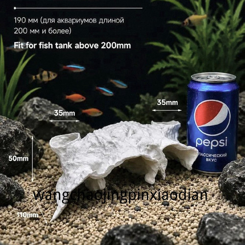 1780743526801.jpg
