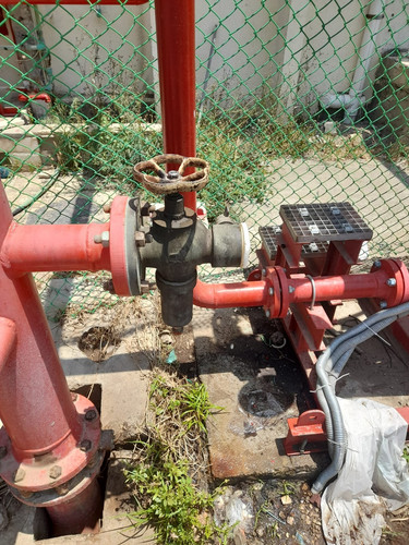 photo1.jpg