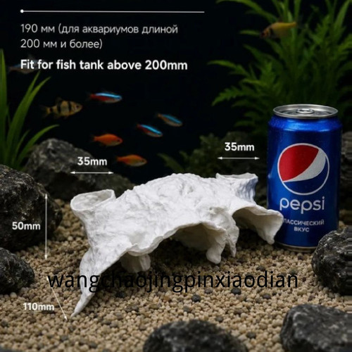 1780743792875.jpg