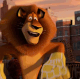 IMG 3218.gif