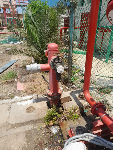 photo2.jpg