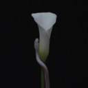 980e24ee4308.png