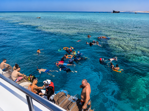 Healthy coral pinnacles and reef ecosystems