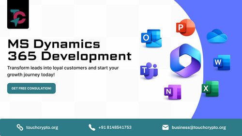 MSCRM Development.jpg