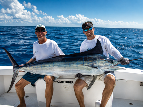 Fresh red sea fish catch on boat