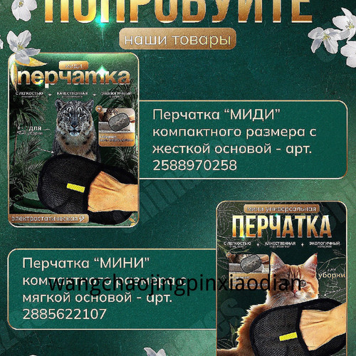 1780745491305.jpg