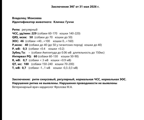 6171f579 3870 4cc5 aab5 d6b250c9acb1.jpg