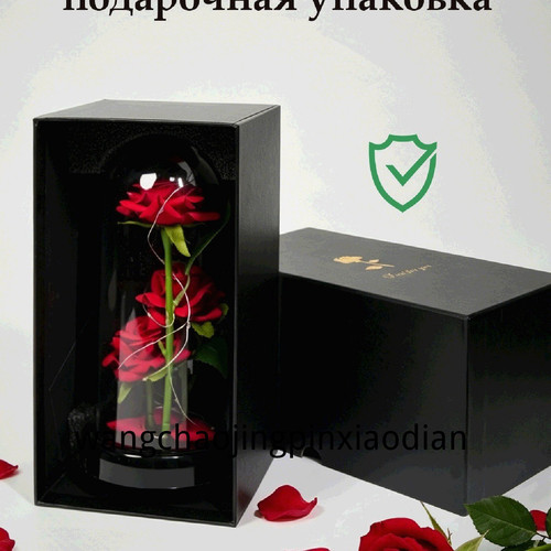 1780747359611.jpg