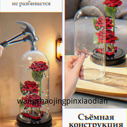 1780747372665.jpg