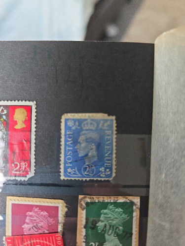 89cc12d7e546.jpg