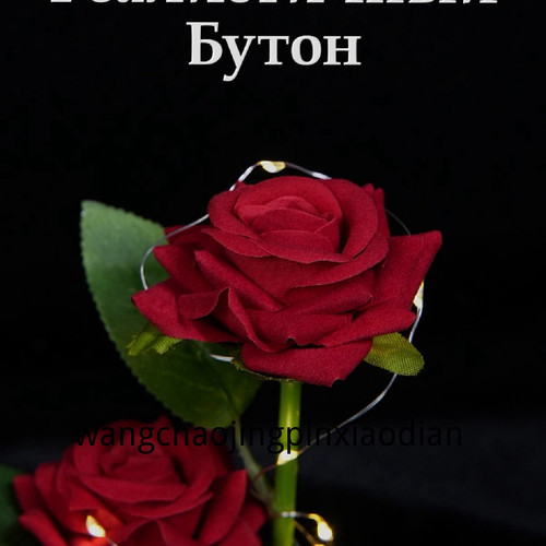 1780749668319.jpg