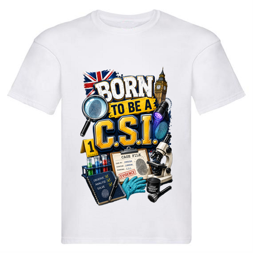 CSI.png