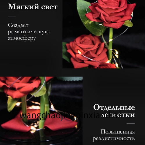 1780748911569.jpg