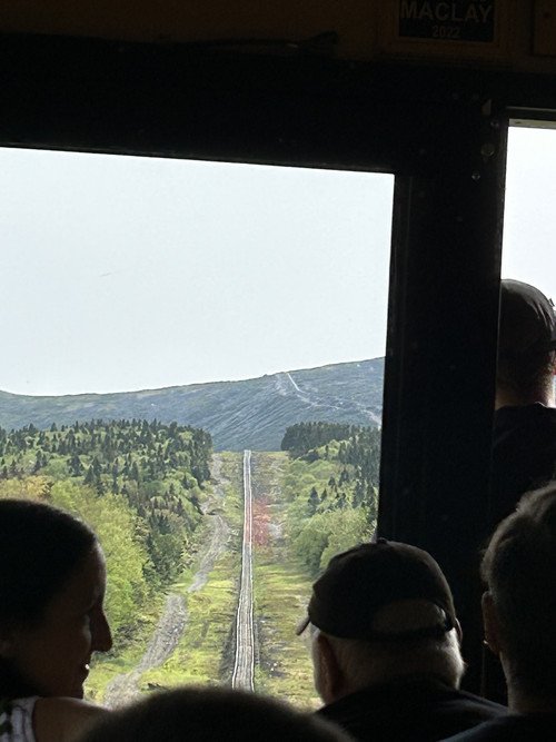 IMG 3636
