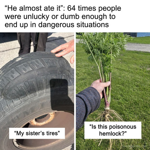 riskysituationspics.jpg