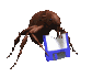 172832.gif