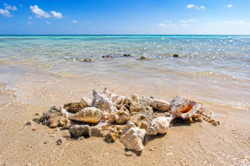 Sharm El Luli white sand beach shoreline