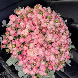 f8vtLJFPu3j T8sS6Kd5phBvOO8a76NFto3e48niF QBWBLdPx Xf7OHaeBiHPTWtJVEoCh5etnC3TjNFrNe4pqSwq yAYCqqOow.jpg