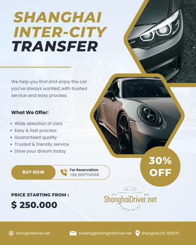 Shanghai Inter City transfer (3).png