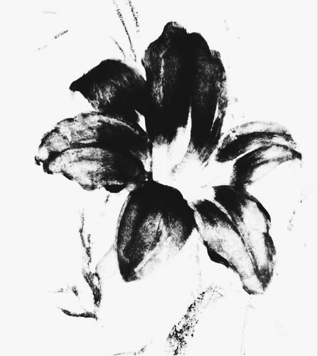 Bnw.jpg