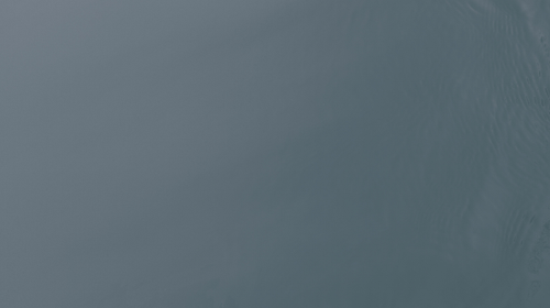 temp.png