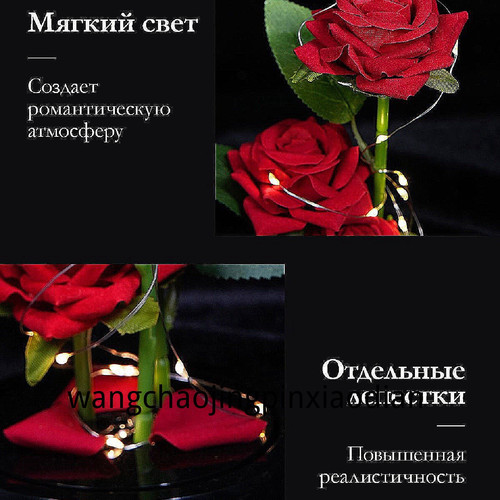 1780751777401.jpg